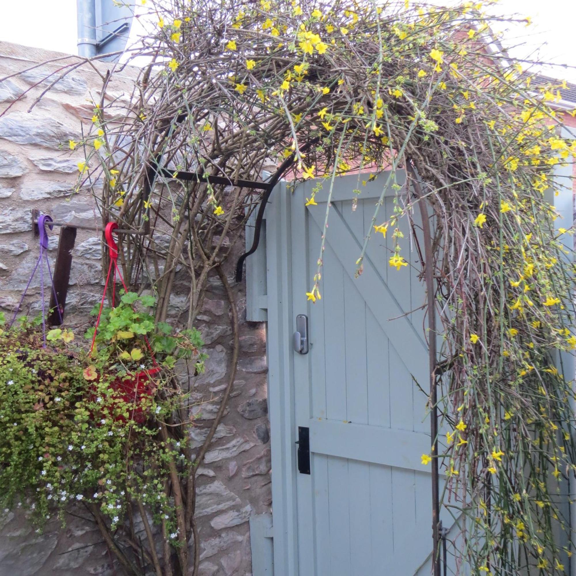Frog Palace - Secure Parking-Outside Area-Topsham-Exeter-Beach-Chiefs-Wifi מראה חיצוני תמונה